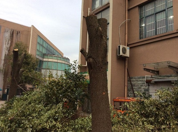 binary_middle (2).jpg