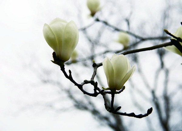 binary_middle (2).jpg