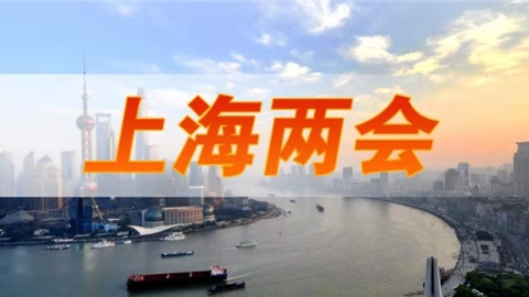 上海市政协委员金江波：在新片区建设艺术品贸易自由港