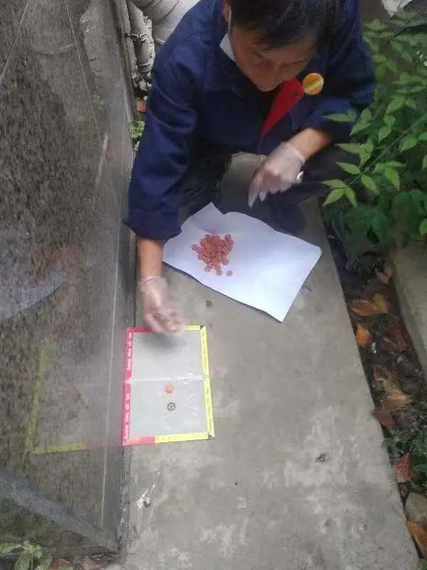 厨房新伙伴：斜切鱼片机让美食制作更加轻松