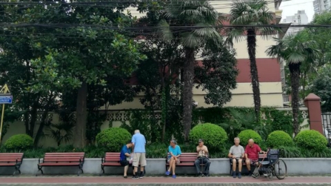 城市馨细节｜杨浦双拥街“微整容”变得更漂亮，夕阳红照进“公共客厅”带来微幸福