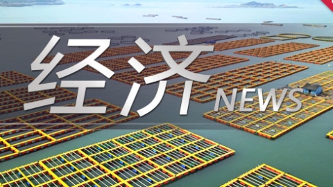 行政服务中心里顺便体验普惠贷款等服务 建行在临港新片区释放政策红利