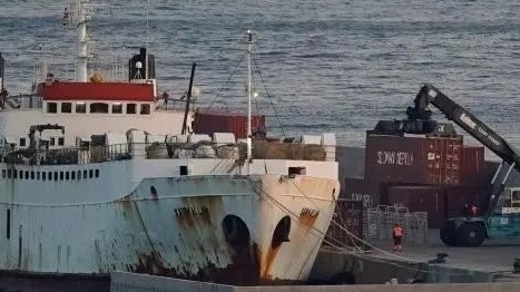 1800头牛在海上“漂流”3个月“弹尽粮绝”，希腊政府送去50吨饲料解燃眉之急