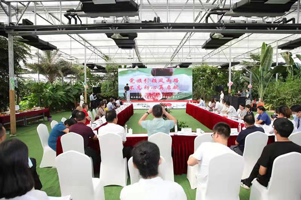 红领圆桌会来了！长三角u201c田园五镇u201d探索毗邻党建新路径-手机新民网